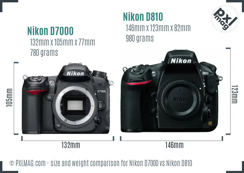 Nikon D7000 vs Nikon D810 size comparison