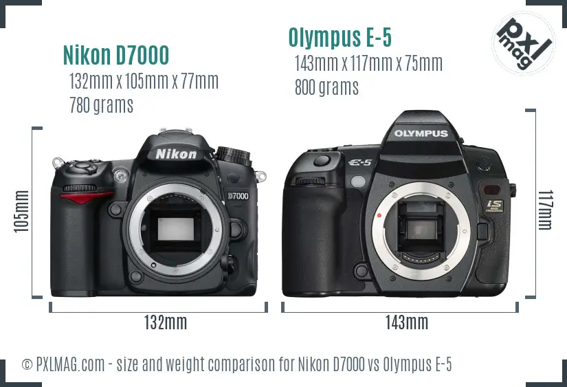 Nikon D7000 vs Olympus E-5 size comparison