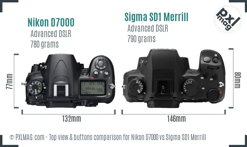 Nikon D7000 vs Sigma SD1 Merrill top view buttons comparison