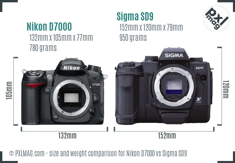 Nikon D7000 vs Sigma SD9 size comparison