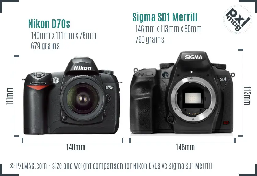 Nikon D70s vs Sigma SD1 Merrill size comparison