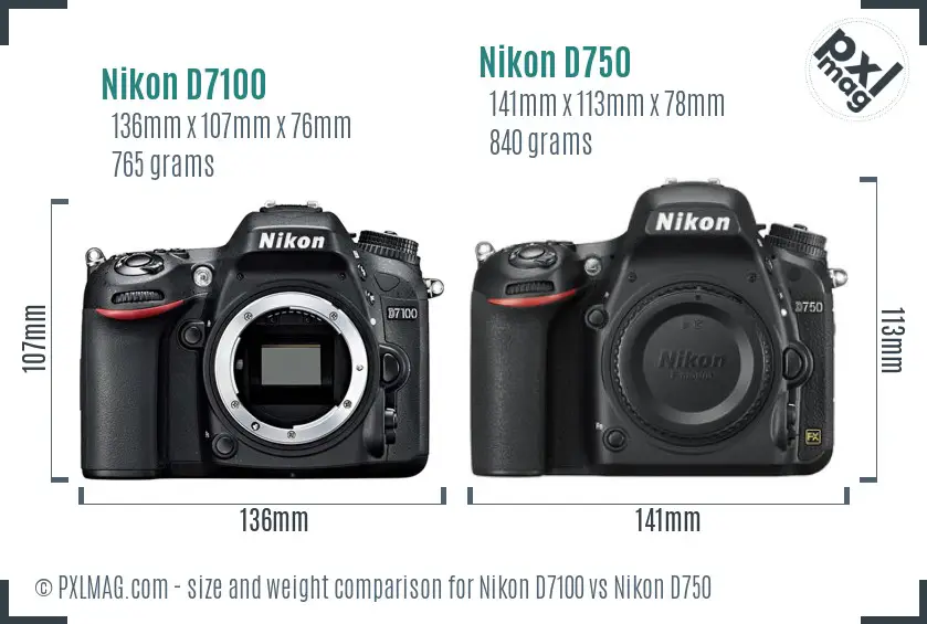 Nikon D7100 vs Nikon D750 size comparison