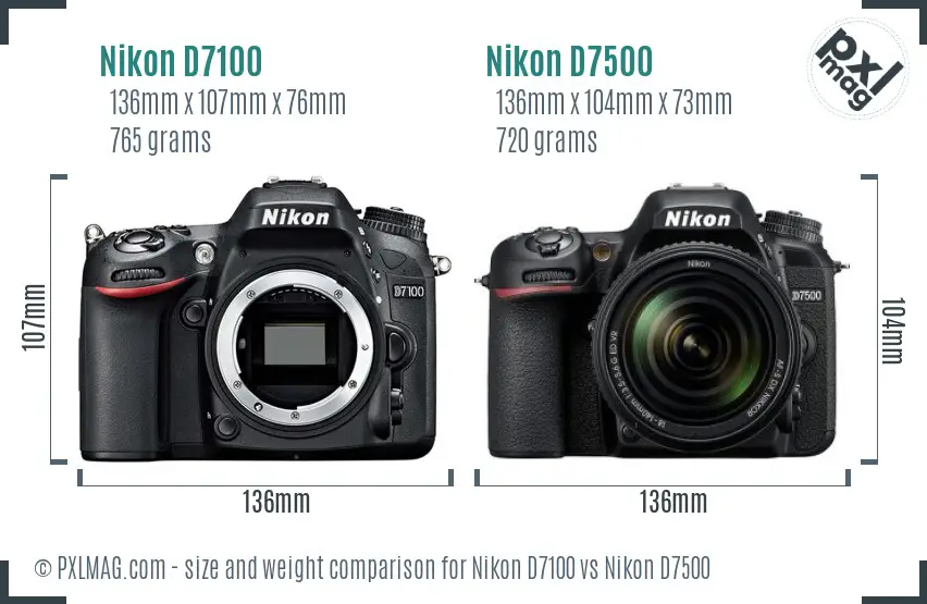Nikon D7100 vs Nikon D7500 size comparison