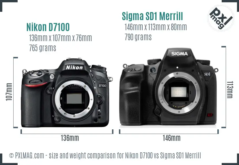 Nikon D7100 vs Sigma SD1 Merrill size comparison