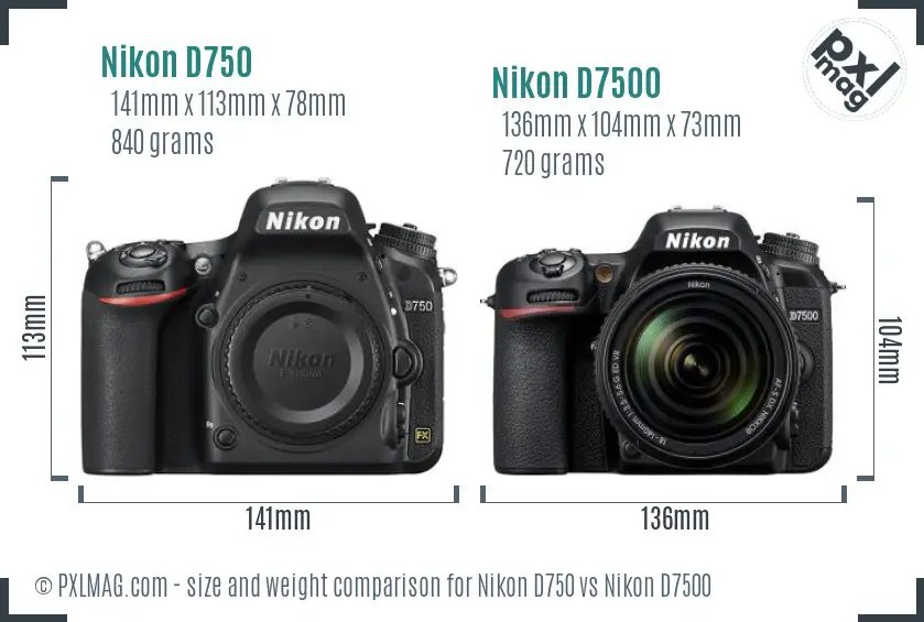 Nikon D750 vs Nikon D7500 size comparison