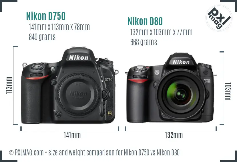 Nikon D750 vs Nikon D80 size comparison Nikon D750 vs Nikon D80 size comparison