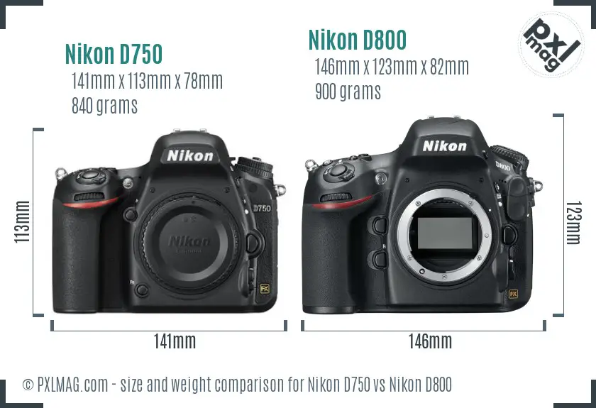 Nikon D750 vs Nikon D800 size comparison