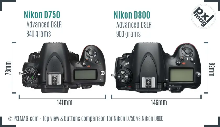 Nikon D750 vs Nikon D800 top view buttons comparison