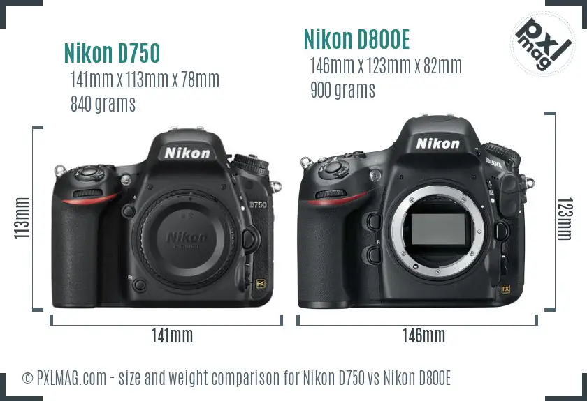 Nikon D750 vs Nikon D800E size comparison