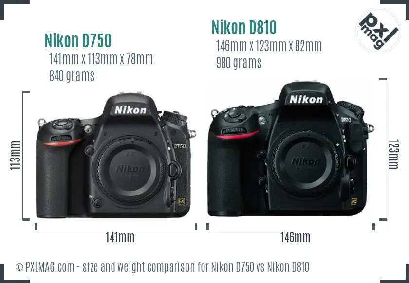 Nikon D750 vs Nikon D810 size comparison