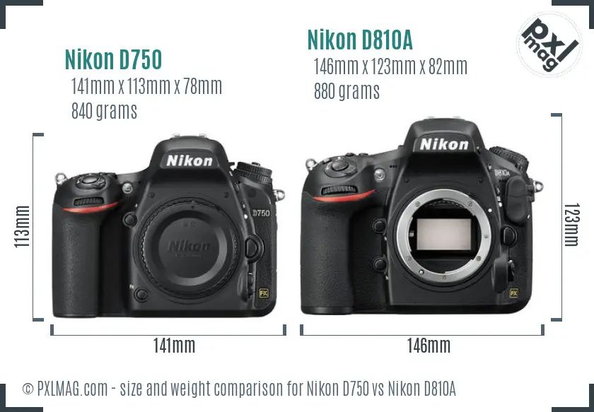 Nikon D750 vs Nikon D810A size comparison