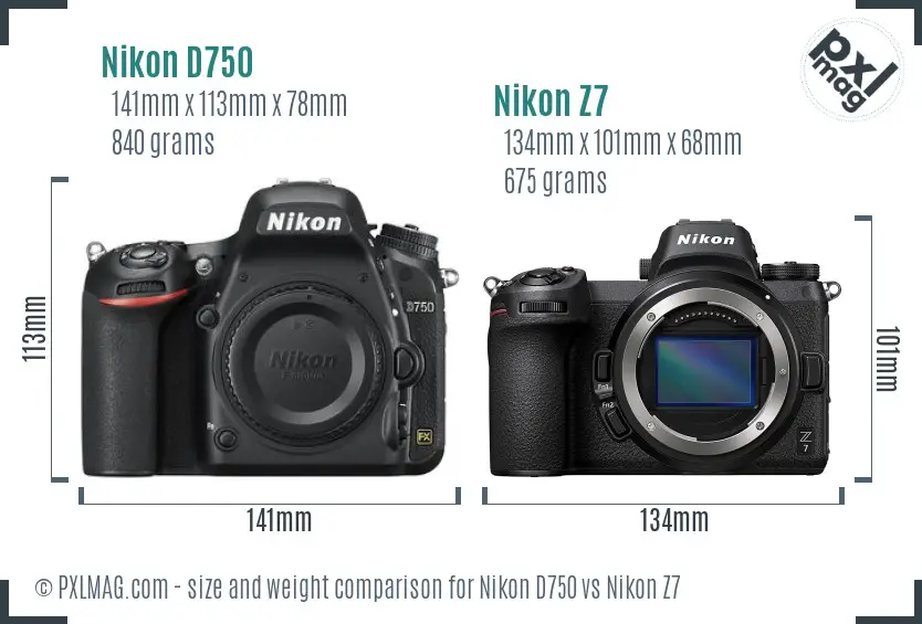 Nikon D750 vs Nikon Z7 size comparison Nikon D750 vs Nikon Z7 size comparison