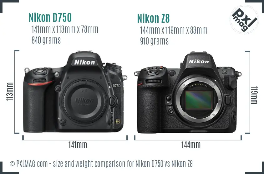 Nikon D750 vs Nikon Z8 size comparison Nikon D750 vs Nikon Z8 size comparison