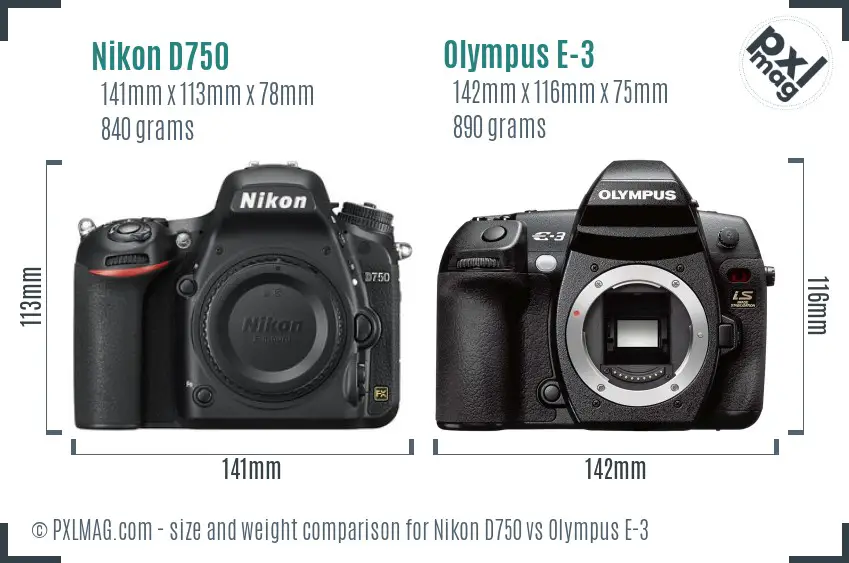 Nikon D750 vs Olympus E-3 size comparison