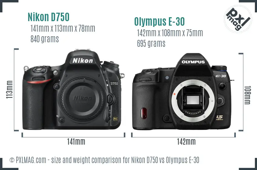 Nikon D750 vs Olympus E-30 size comparison