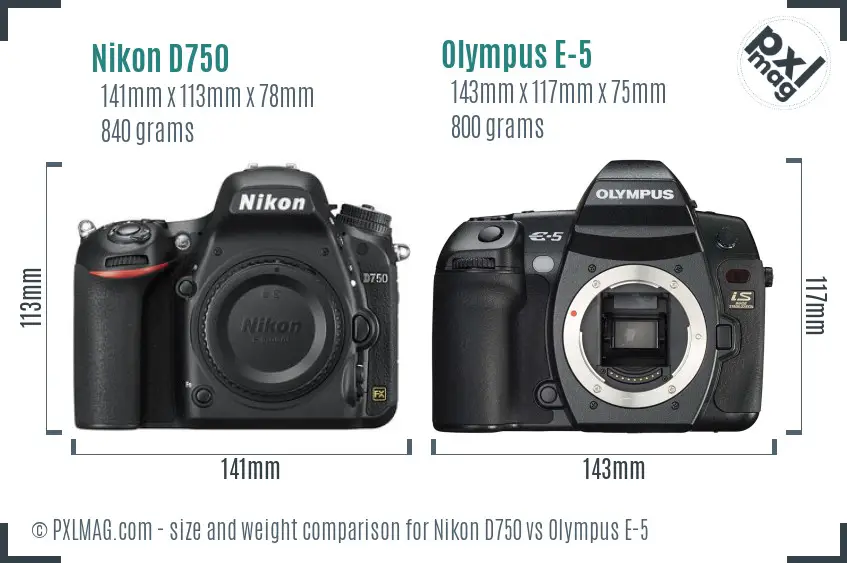 Nikon D750 vs Olympus E-5 size comparison