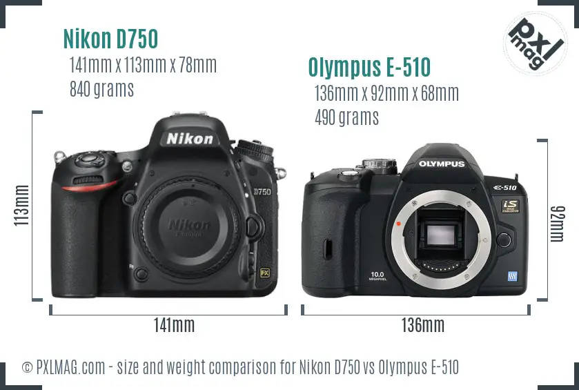 Nikon D750 vs Olympus E-510 size comparison