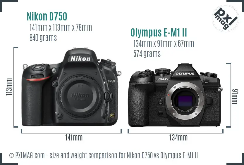 Nikon D750 vs Olympus E-M1 II size comparison