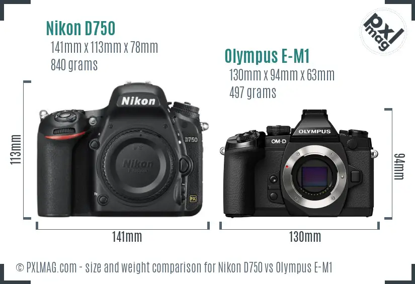 Nikon D750 vs Olympus E-M1 size comparison