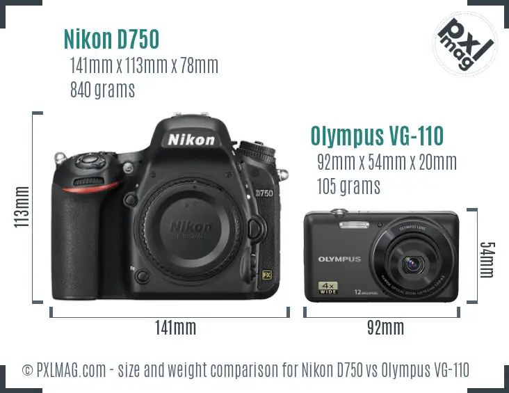 Nikon D750 vs Olympus VG-110 size comparison