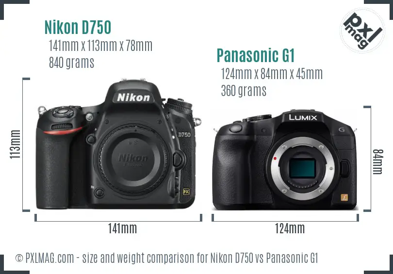 Nikon D750 vs Panasonic G1 size comparison