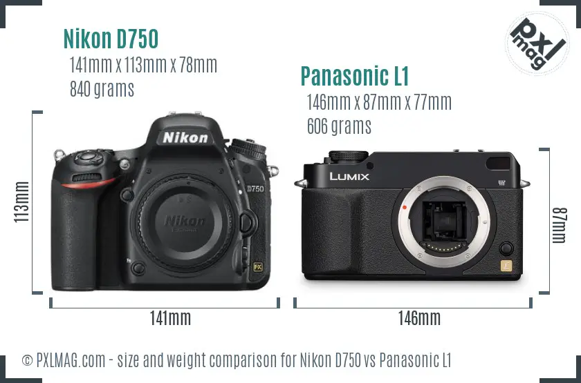 Nikon D750 vs Panasonic L1 size comparison