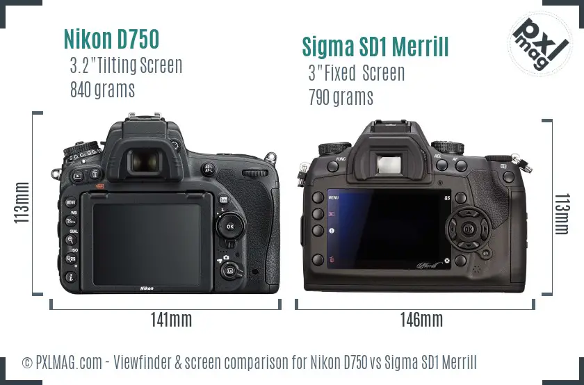 Nikon D750 vs Sigma SD1 Merrill Screen and Viewfinder comparison