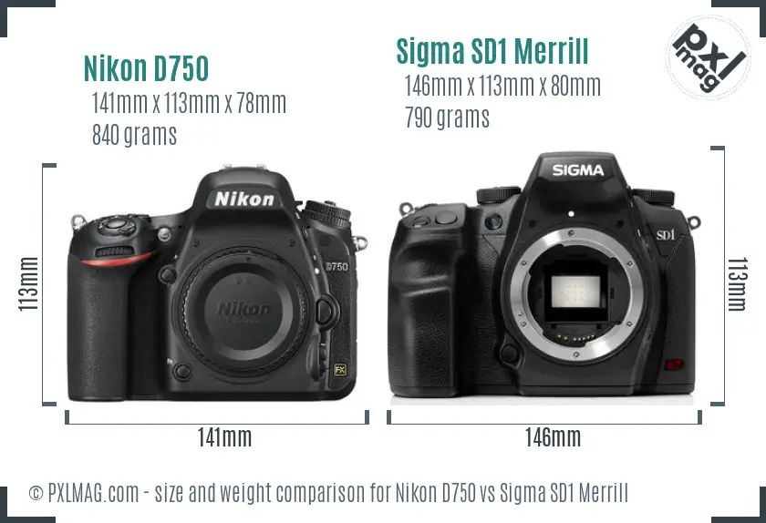 Nikon D750 vs Sigma SD1 Merrill size comparison