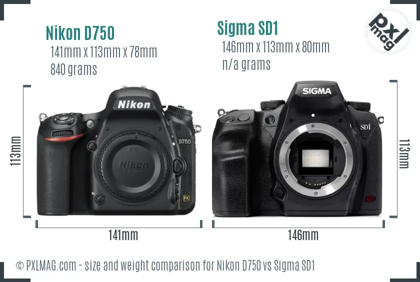 Nikon D750 vs Sigma SD1 size comparison