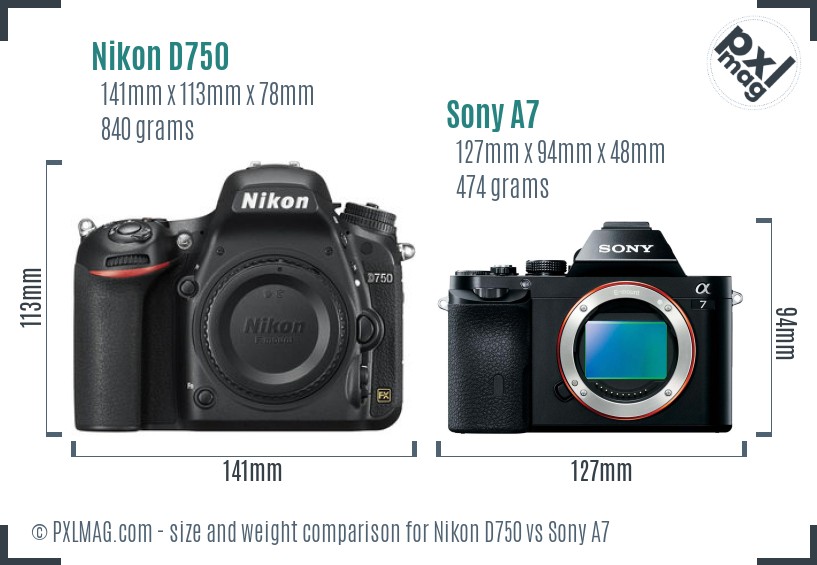 Nikon D750 vs Sony A7 size comparison Nikon D750 vs Sony A7 size comparison