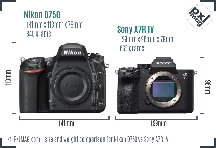 Nikon D750 vs Sony A7R IV size comparison Nikon D750 vs Sony A7R IV size comparison