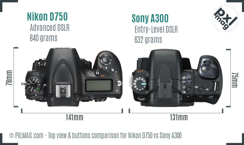 Nikon D750 vs Sony A300 top view buttons comparison