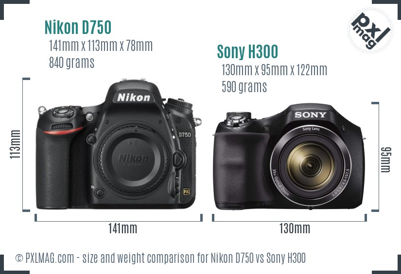Nikon D750 vs Sony H300 size comparison Nikon D750 vs Sony H300 size comparison