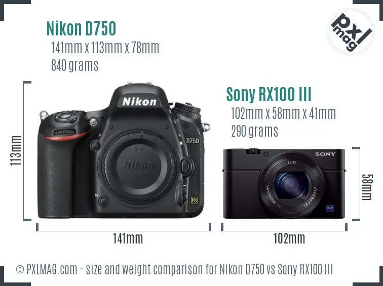 Nikon D750 vs Sony RX100 III size comparison