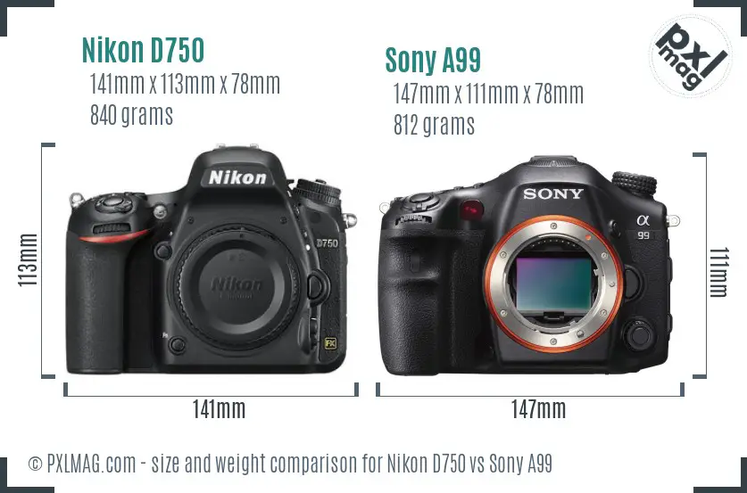 Nikon D750 vs Sony A99 size comparison