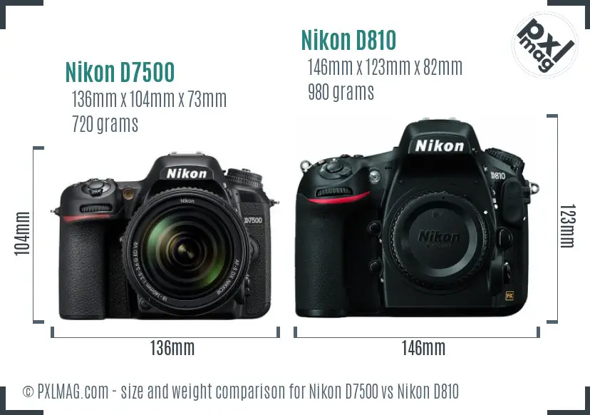 Nikon D7500 vs Nikon D810 size comparison