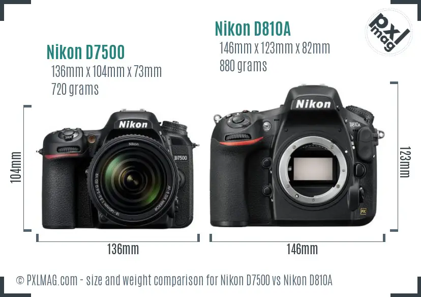 Nikon D7500 vs Nikon D810A size comparison