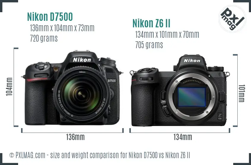 Nikon D7500 vs Nikon Z6 II size comparison