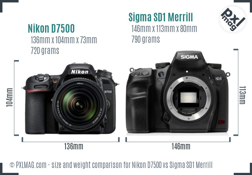 Nikon D7500 vs Sigma SD1 Merrill size comparison