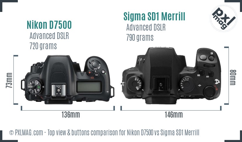 Nikon D7500 vs Sigma SD1 Merrill top view buttons comparison