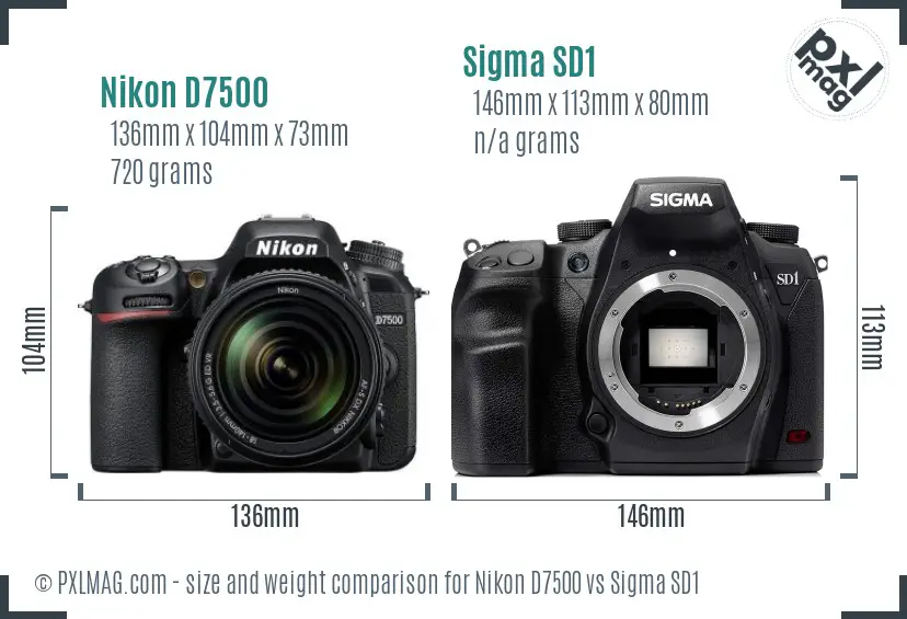 Nikon D7500 vs Sigma SD1 size comparison
