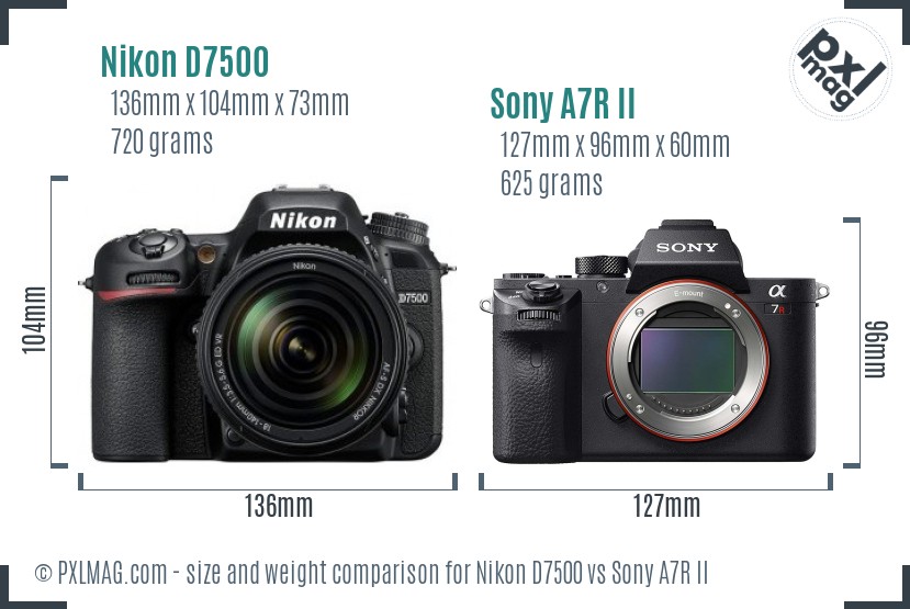 Nikon D7500 vs Sony A7R II size comparison