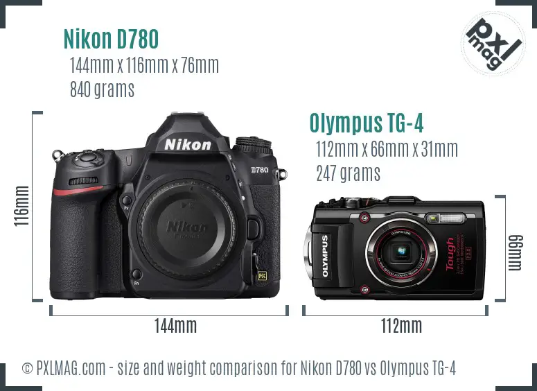 Nikon D780 vs Olympus TG-4 size comparison
