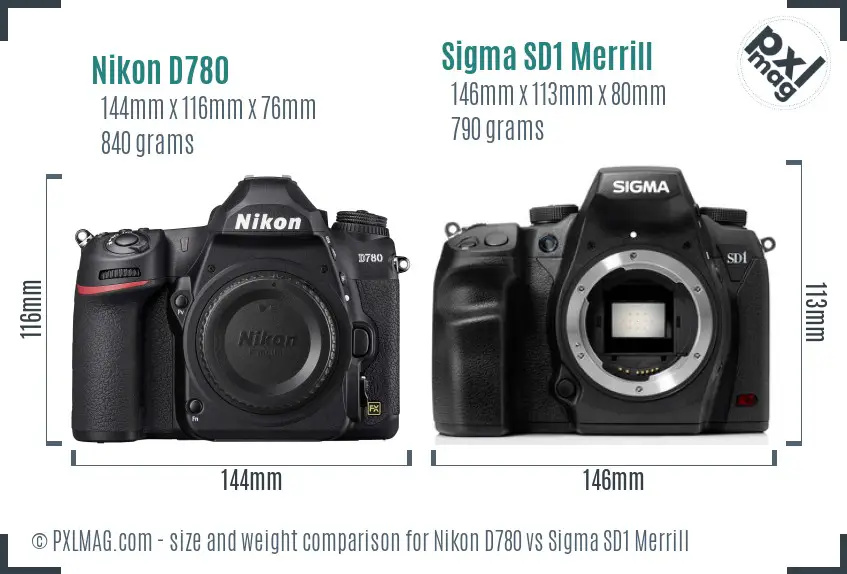 Nikon D780 vs Sigma SD1 Merrill size comparison