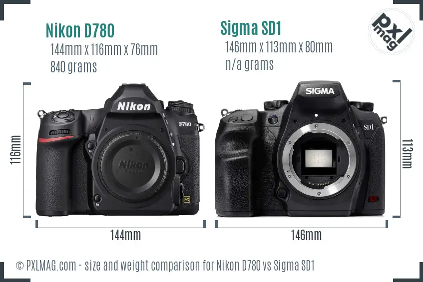 Nikon D780 vs Sigma SD1 size comparison