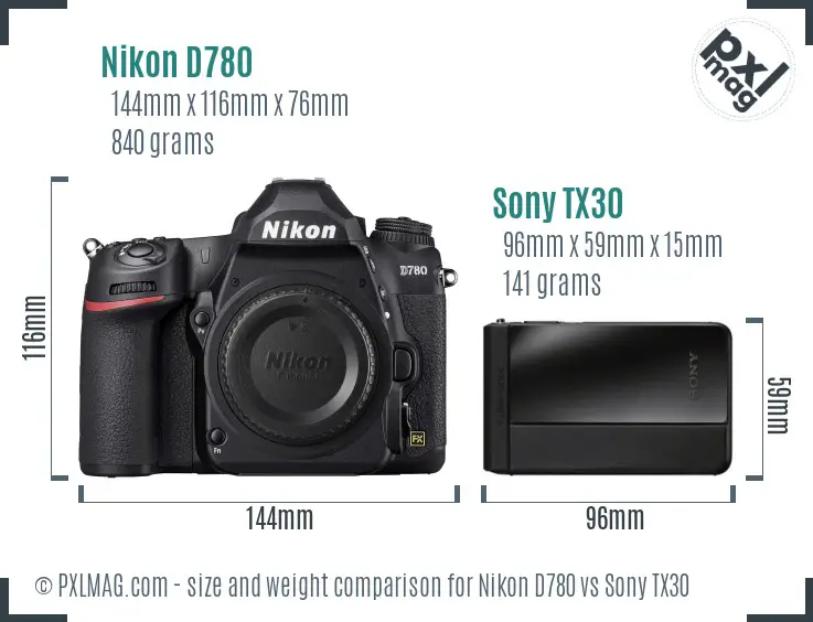 Nikon D780 vs Sony TX30 size comparison