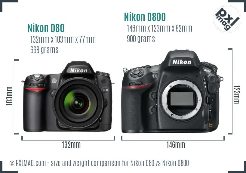 Nikon D80 vs Nikon D800 size comparison