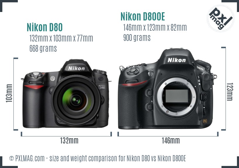 Nikon D80 vs Nikon D800E size comparison