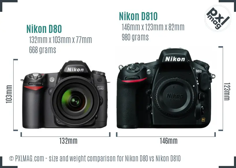 Nikon D80 vs Nikon D810 size comparison Nikon D80 vs Nikon D810 size comparison