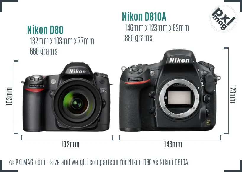 Nikon D80 vs Nikon D810A size comparison